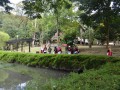 Tn 0427 DSC 5740